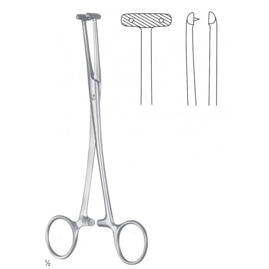 VF 11-2598-19