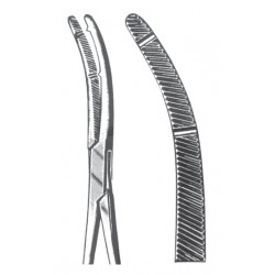 VF 11-2699-19
