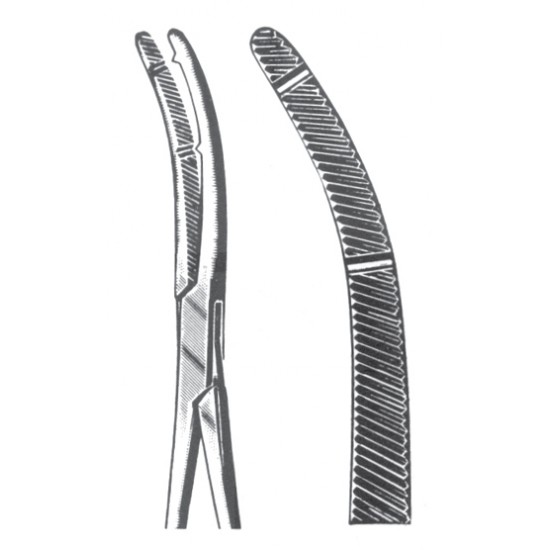 VF 11-2699-19
