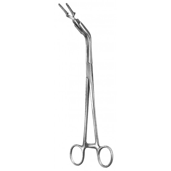 VF 19-5531-23
