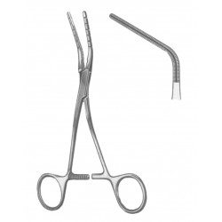 VF 19-5596-02