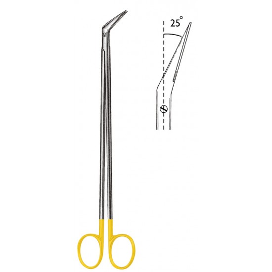 VF 06-1855-19